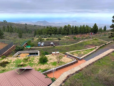 Finca/Casa Rural en venta en San Miguel de Abona, Tenerife