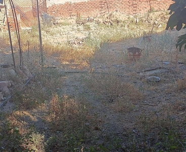 Terreno con Ruinas en venta en la Camino de Cobisa' Argés