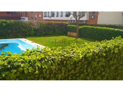 Alquiler de piso con piscina en Centro Histórico (Badajoz), Urbanización Guadiana