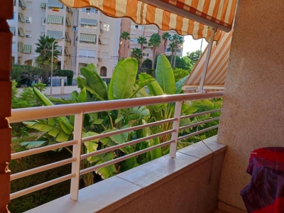 Alquiler Piso Alicante - Alacant. Piso de dos habitaciones en Avda Oviedo 4. Plaza de aparcamiento