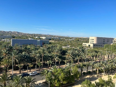 Alquiler Piso Elche - Elx. Piso de tres habitaciones Buen estado séptima planta