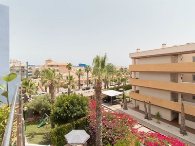 Cabo Roig apartamento para alquilar