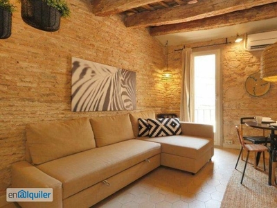 Precioso monoambiente con balcón y aire acondicionado en alquiler en Barri Gòtic