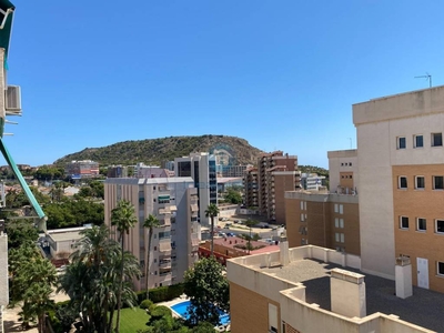 Venta Piso Alicante - Alacant. Piso de dos habitaciones Octava planta con balcón