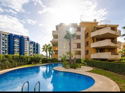 Venta Piso Orihuela. Piso de dos habitaciones Primera planta con terraza