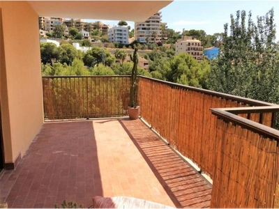 Venta Piso Palma de Mallorca. Piso de tres habitaciones Buen estado tercera planta con terraza