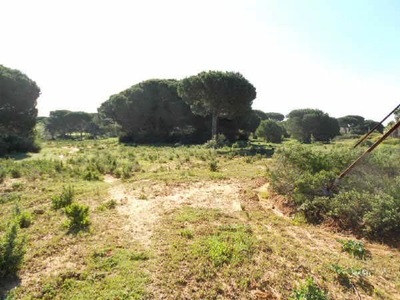 Otros en venta en Chiclana De La Frontera de 40322 m²