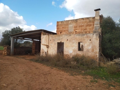 Finca rústica en venta en la s'Estanyol de Migjorn