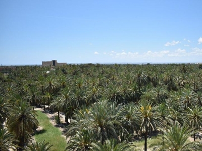 Piso de alquiler en Calle Benicassim, 1, Centro