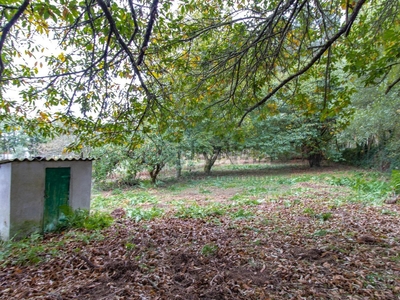 Casa o chalet independiente en venta en outeiro de rei