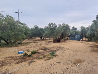 Finca rústica en venta en camino Cortijo María, 8