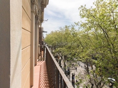 Alquiler piso amplio y reformado frente a las ramblas en Barcelona