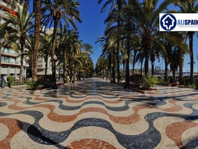 Venta Piso Alicante - Alacant. Tercera planta con terraza