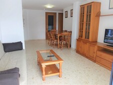 Alquiler apartamento en rioja 149 en Playa de Gandía Gandia