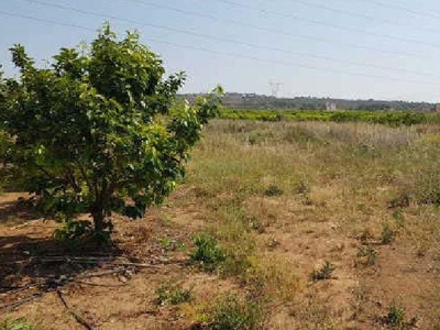 Terreno rústico en venta enpre. acequia de alginet, polígono,carlet,valencia