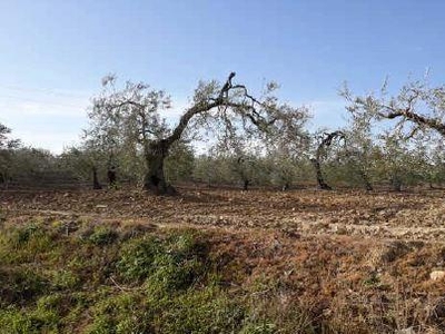 Terreno rústico en venta enpre. el cortijuelo (poligono 7), sn,albaida del aljarafe,sevilla