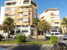 Local comercial Catral Alicante - Alacant Ref. 77350595 - Indomio.es