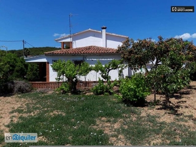 Alquiler piso amueblado terraza Nord