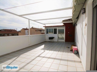 Alquiler piso terraza San antón