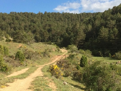 Terreno no urbanizable en venta en la Teruel
