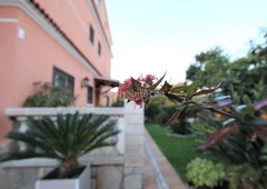 Casa a tres vientos, con jardín y garaje. en Mataró
