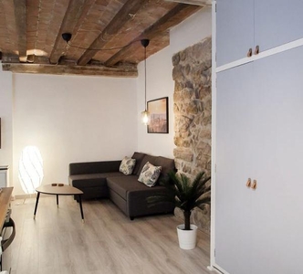 Apartamento de alquiler en Carrer Dels Banys Nous, Barri Gòtic