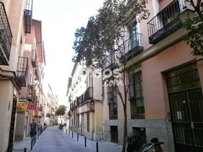 Apartamento en alquiler en Calle del Mesón de Paredes, cerca de Calle de Juanelo