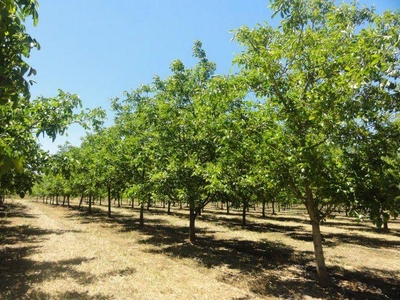 Chalet en Argamasilla de Alba