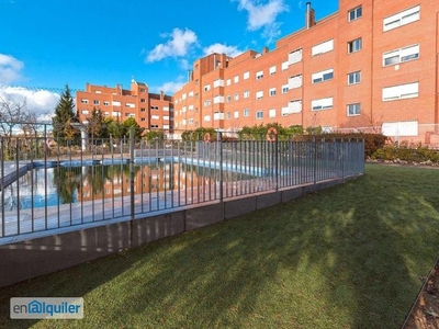 Alquiler piso obra nueva piscina Casco histórico