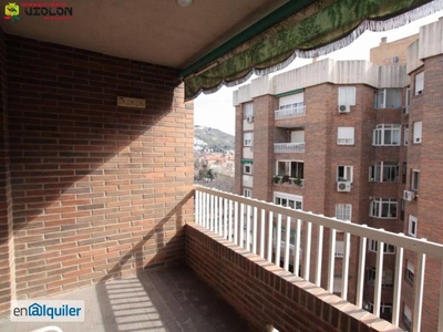 Alquiler piso terraza Genil