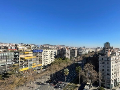 Piso de alquiler en Avinguda Diagonal, Barri de les Corts