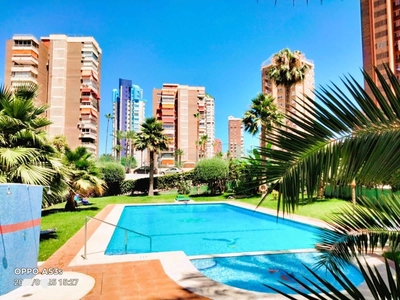 Apartamento en venta en Benidorm, Alicante