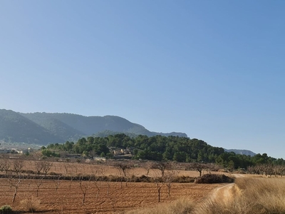 Jumilla terreno en venta