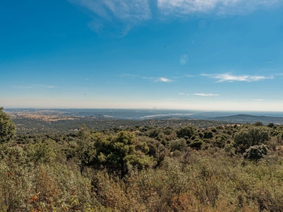 Finca/Casa Rural en venta en Colmenar Viejo, Madrid