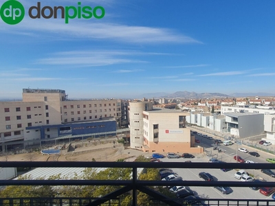 Alquiler de piso con piscina y terraza en Los Periodistas, Parque Almunia (Granada), Parque almunia