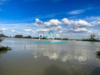 Chalet en venta en La Puebla del Río