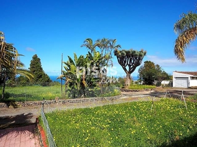 Finca rústica en venta en Tenerife North