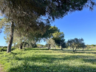 Chalet en Villanueva de los Castillejos