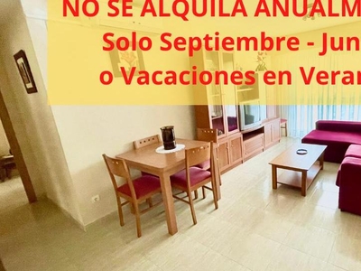 Apartamento de alquiler en Calle Cullera, 72, Playa de Gandia