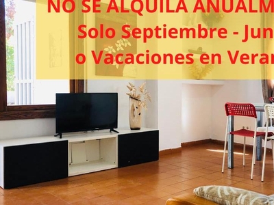 Apartamento de alquiler en Calle Mare Nostrum, 55, Playa de Gandia