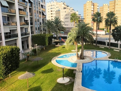 Piso de alquiler en Avenida Maestro José Garberí, PAU 5