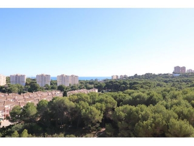 Apartamento con vistas al mar en Campoamor