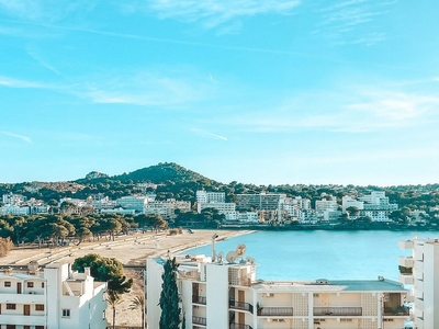 Estudio en alquiler en Santa Ponça con piscina y muebles