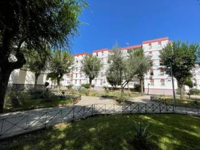 Piso de tres habitaciones planta baja, Pino Montano, Sevilla
