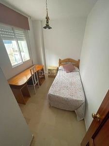 Alquiler apartamento en El Consul - Ciudad Universitaria - El Romeral Málaga