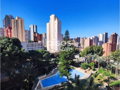 Apartamento en alquiler en Avenida de Montecarlo, 12, cerca de Calle de las Azucenas