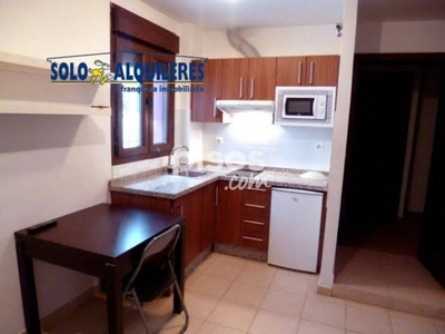 Apartamento en alquiler en Calle Honda de Realejo