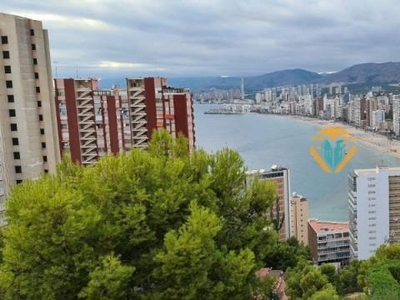 Apartamento en Benidorm