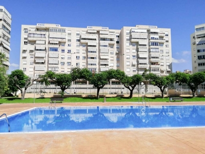 Alquiler Piso Alicante - Alacant. Piso de cuatro habitaciones en Paraguay 3. Quinta planta con terraza