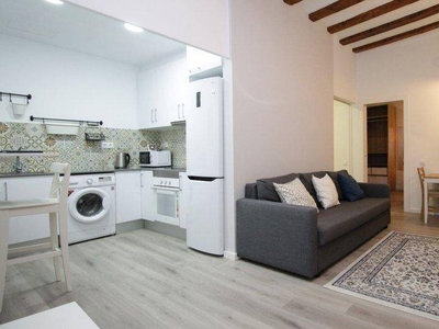 Alquiler Piso Barcelona. Piso de dos habitaciones en Carrer del Portal Nou. Con terraza